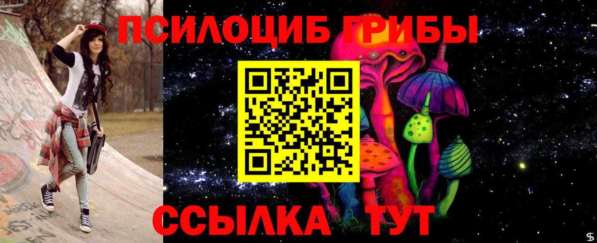 Псилоцибиновые грибы мицелий Тейково